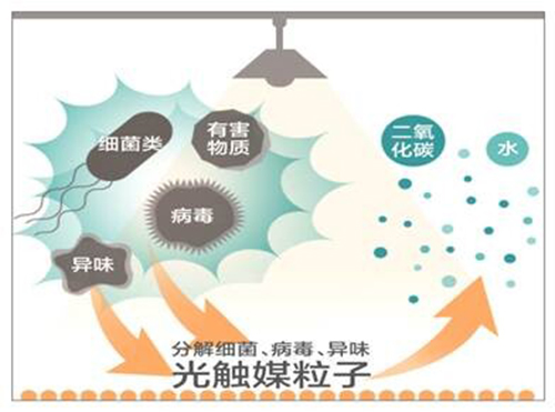 東芝光觸媒業務在中國正式啟動